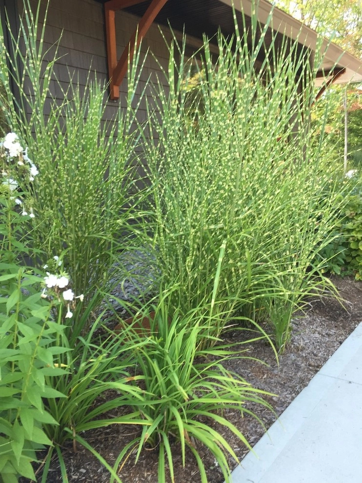 Perennial Color by Miracle Farms Landscape Contractors - Photo 8