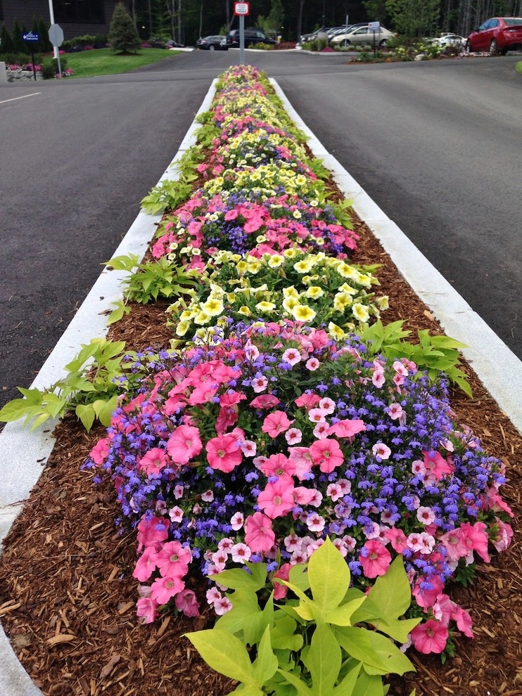 Annual Color- Containers by Miracle Farms Landscape Contractors - Photo 3
