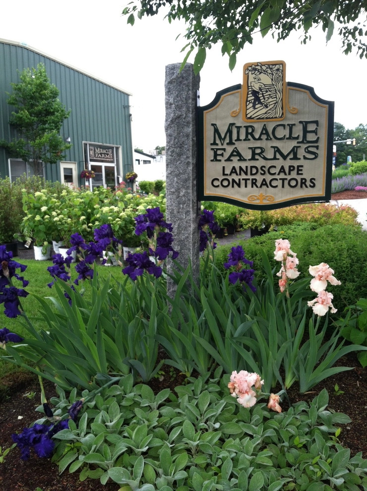 Perennial Color by Miracle Farms Landscape Contractors - Photo 10