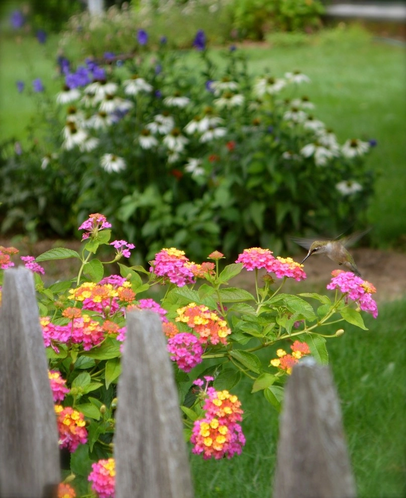 Miracle Farms Landscape Contractors - Photo 8