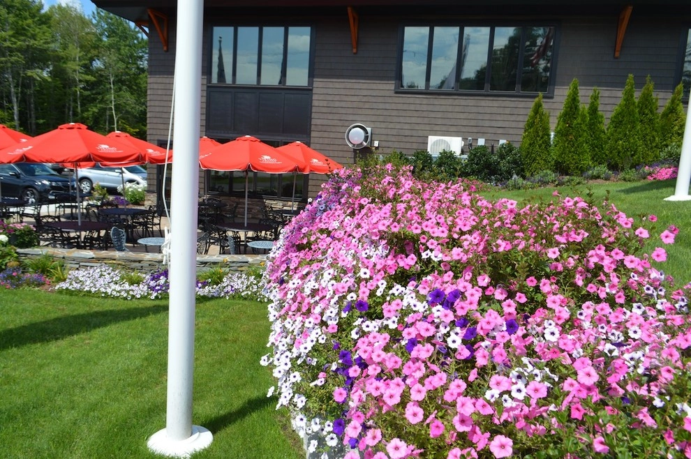 Annual Color- Containers by Miracle Farms Landscape Contractors - Photo 9