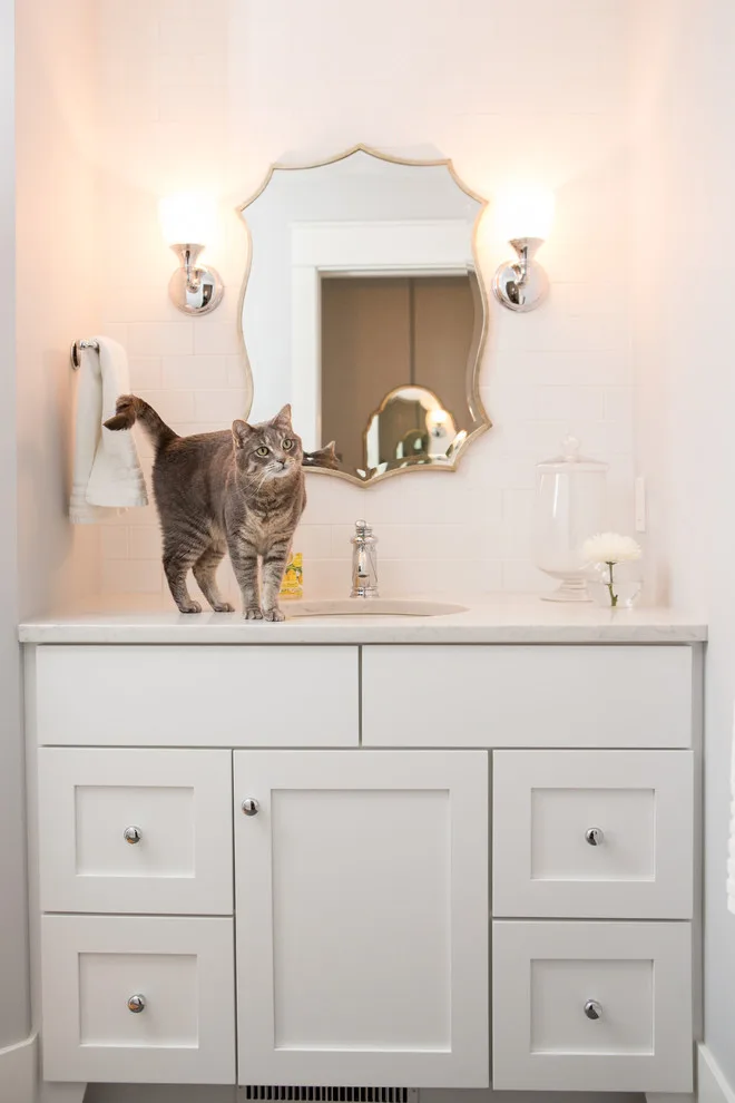 Golden Grizzly by Welcome Home Design Group - Photo 3