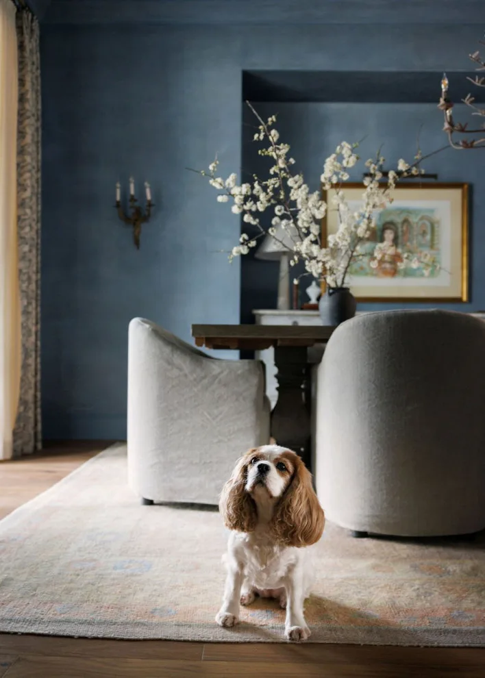 Guinea Project by Alexandra Killion Interiors LLC - Photo 4