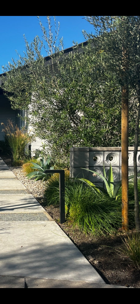 Long Beach Mid Century by Camille Beehler Landscape Design - Photo 2