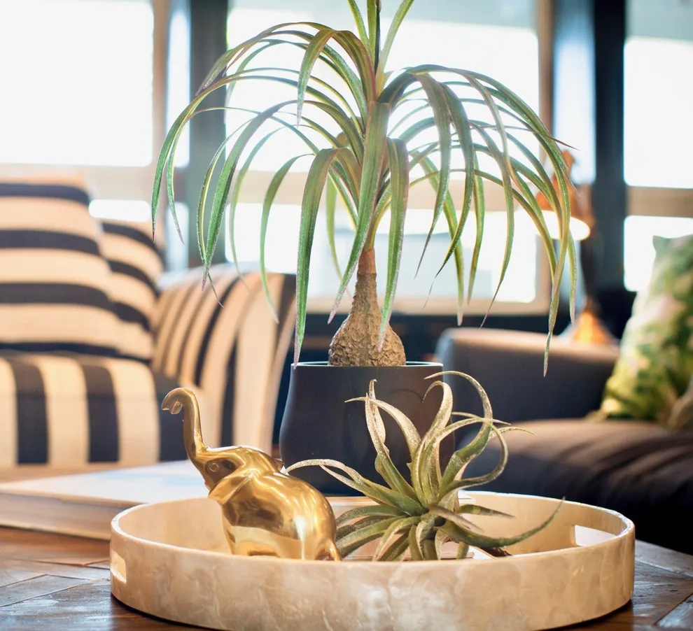 Hamptons Classic by Erin Melkonian Designs - Photo 39