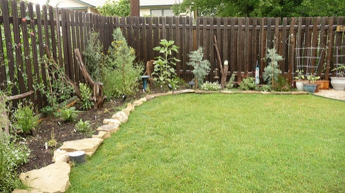 Glendale - Front Yard landscape and hardscape. by Moda Outdoor Living - Photo 5