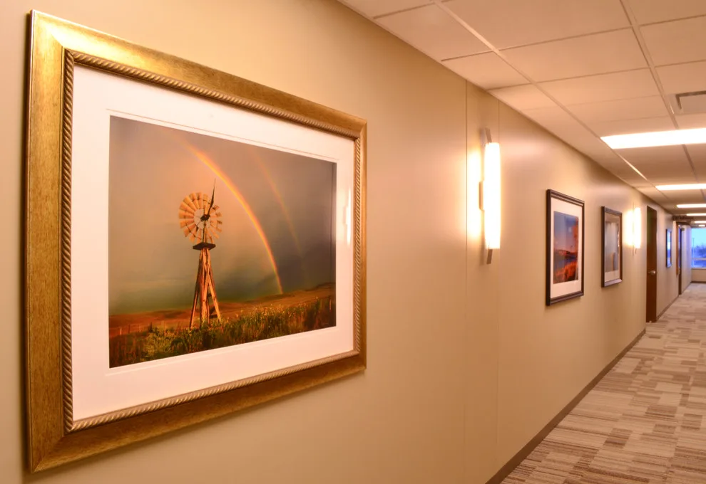 Shanan Campbell Art Consulting - Photo 13