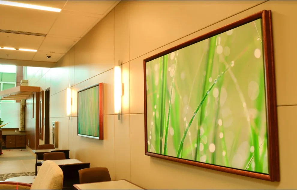 Entrance Hall / Main Entry / Public Access by Shanan Campbell Art Consulting - Photo 8