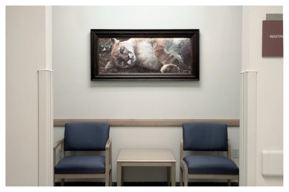 Entrance Hall / Main Entry / Public Access by Shanan Campbell Art Consulting - Photo 7
