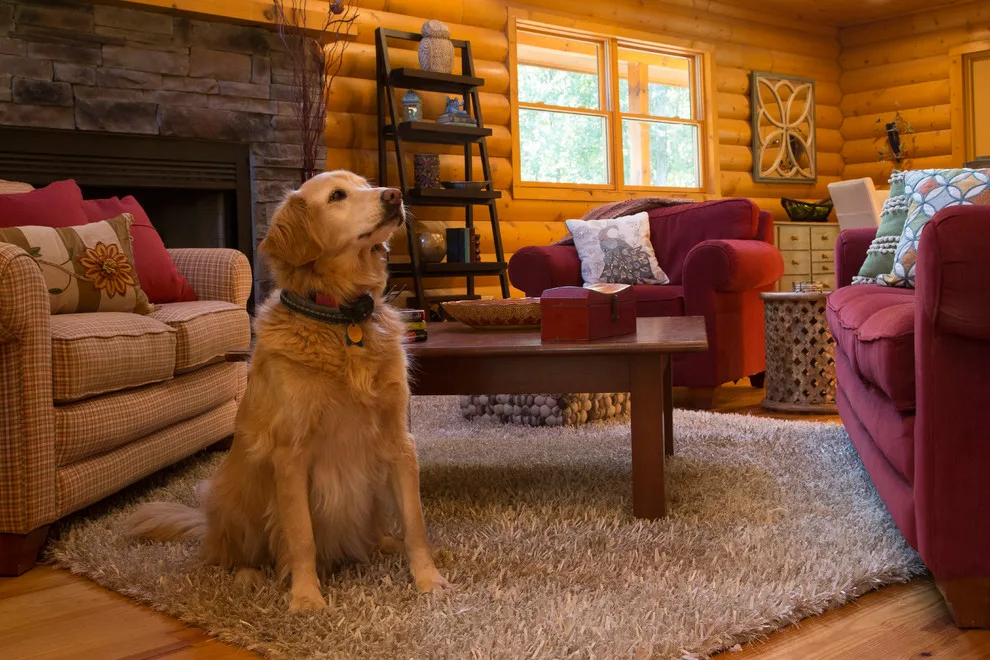 Hermitage Lane Cabin by Burke Designs - Photo 14