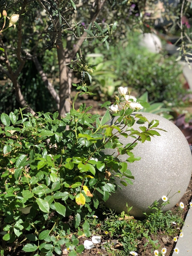 Beautiful Residence - Beverly Hills by Camille Beehler Landscape Design - Photo 24