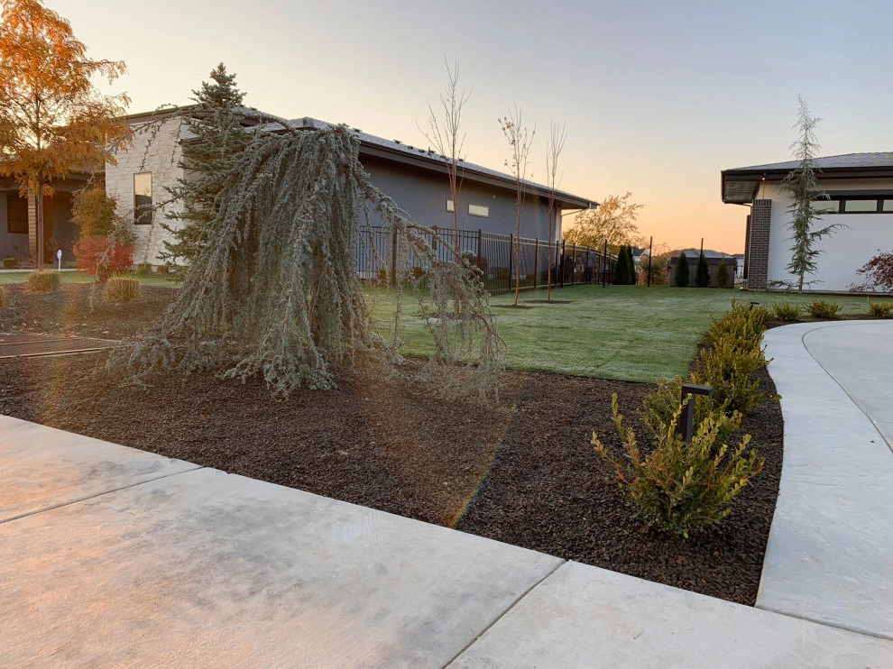 Studhalter Residence by Modern Landscape - Photo 4