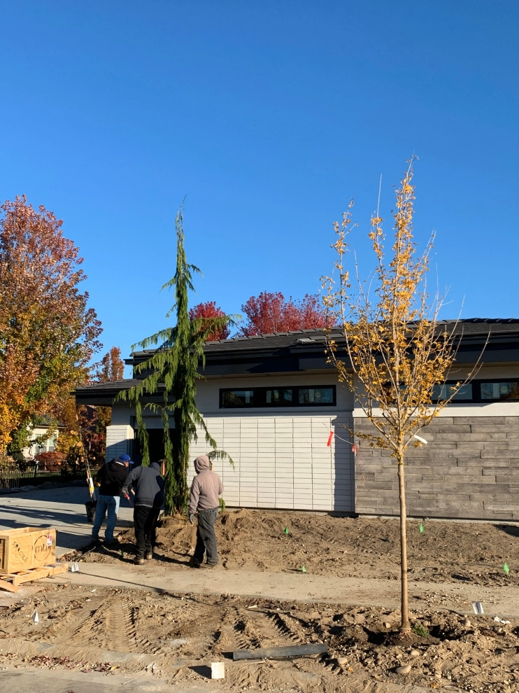 New Design and Build by Modern Landscape - Photo 30