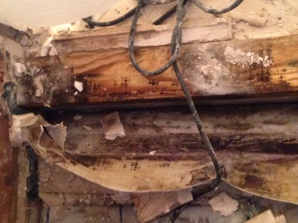 Crosby Shower Base Liner Replacement by Plumbing By JRS - Photo 27