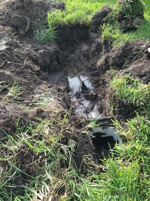 Prestige Plumbing Services Inc. - Photo 14