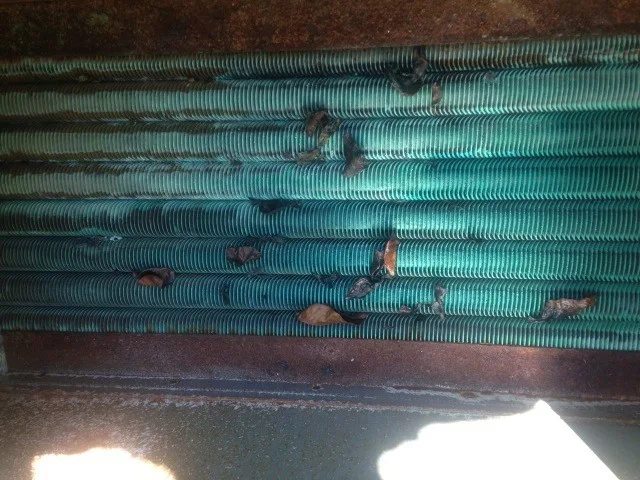 Gas Pool Heater Installation and Maintenance by Prestige Plumbing Services Inc. - Photo 3