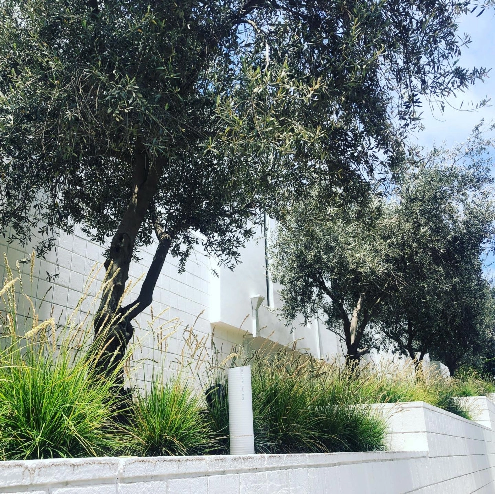 Mai Residence by Camille Beehler Landscape Design - Photo 13