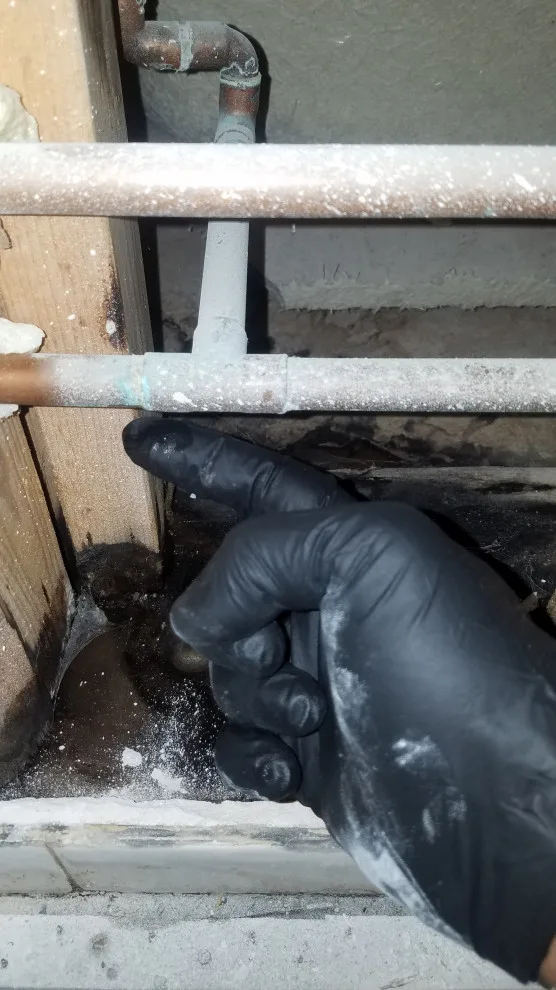 Professional Plumbing - Photo 8