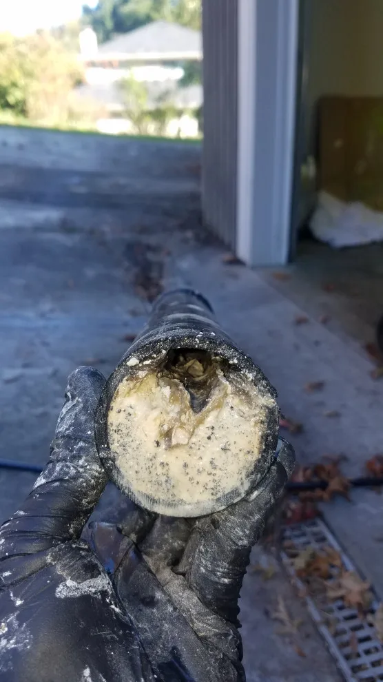 Professional Plumbing - Photo 14