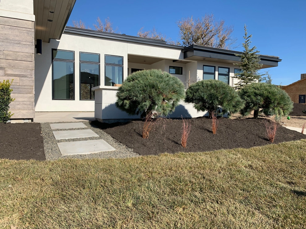 New Design and Build by Modern Landscape - Photo 27