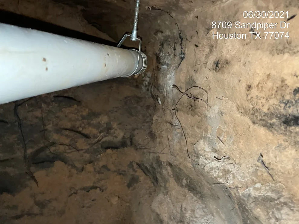 My Initiative by Loyalty Plumbing LLC - Photo 29