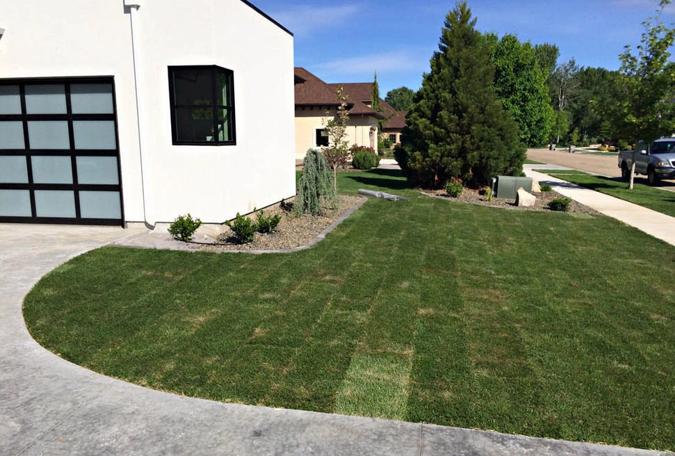 Landscape Projects by Modern Landscape - Photo 15