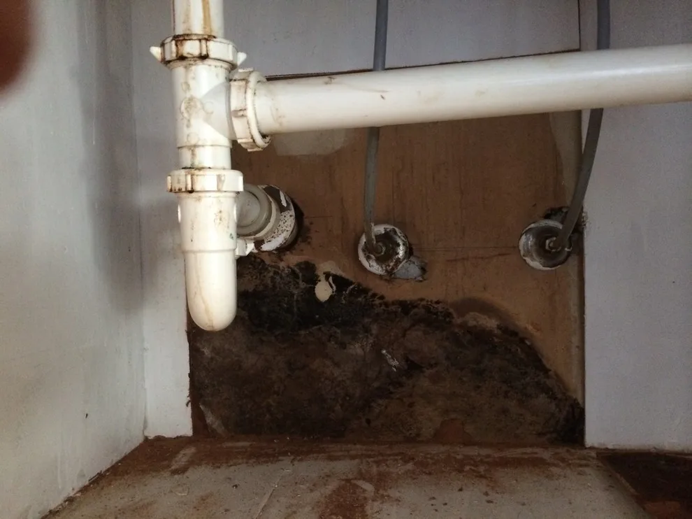 Pipe Fixing Services by Pure Water Plumbing Inc. - Photo 26