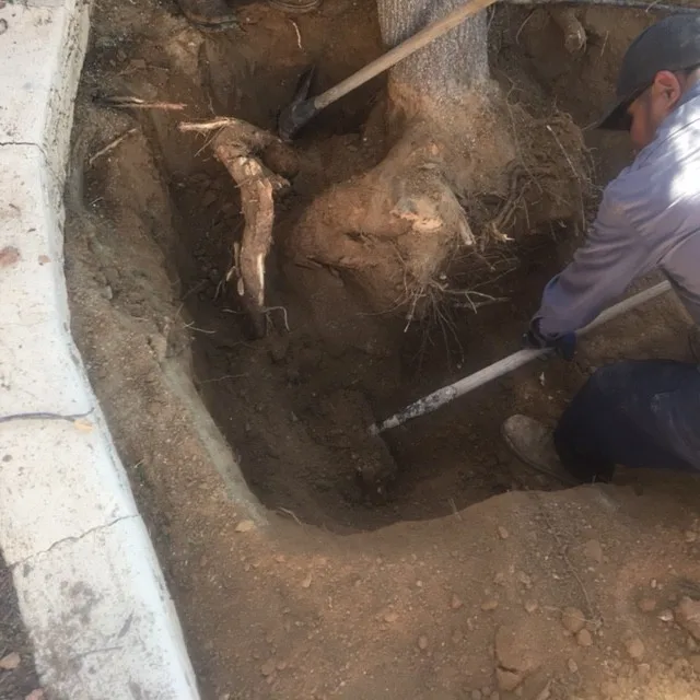 AAM Plumbing Services - Photo 5