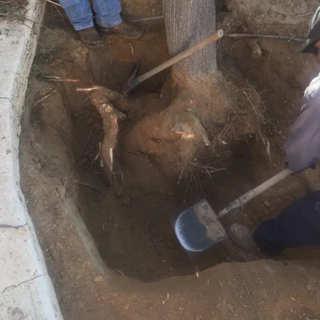 AAM Plumbing Services - Photo 4