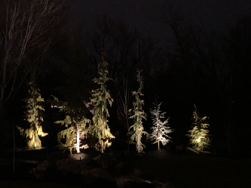 New Design and Build by Modern Landscape - Photo 28