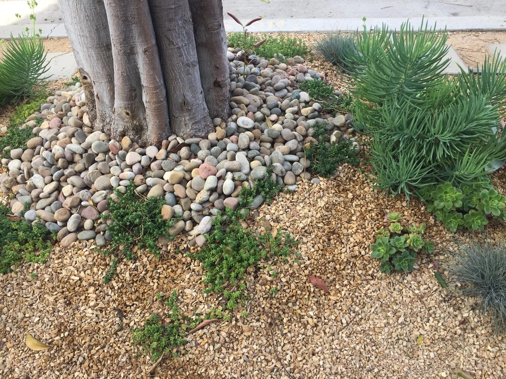 Peninsula Parkway Ocean Blvd by Camille Beehler Landscape Design - Photo 6