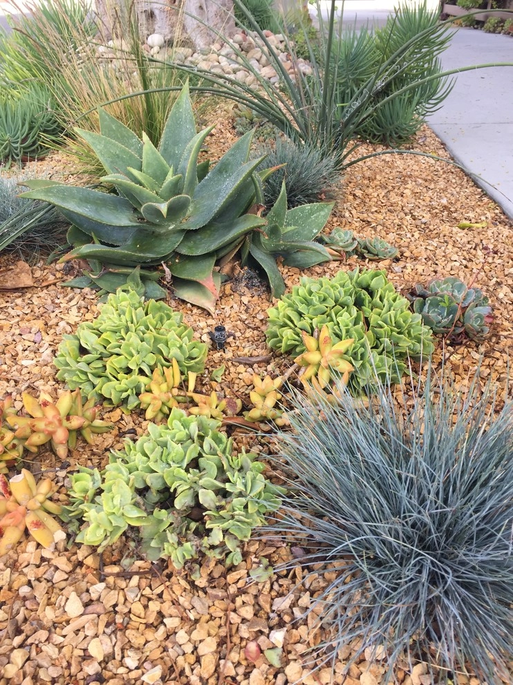 Peninsula Parkway Ocean Blvd by Camille Beehler Landscape Design - Photo 5