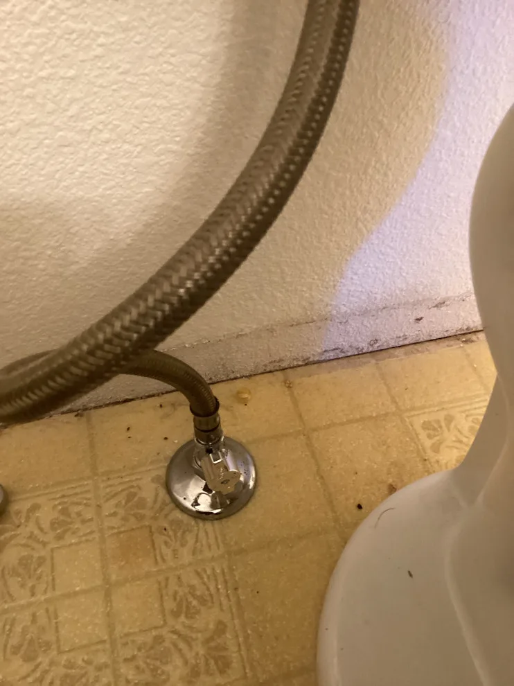 Direct Shooter Plumbing and Rooter (Hayden, ID) by Straight Shooter Plumbing And Rooter - Photo 35