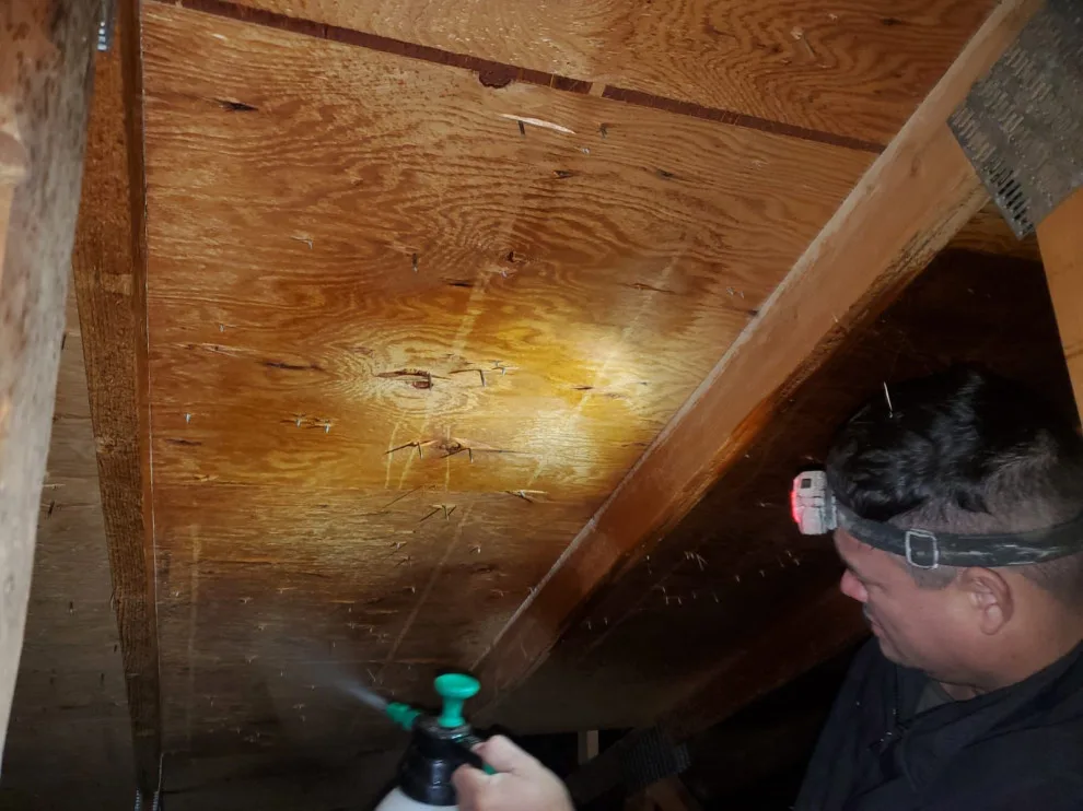 Crawl Space and Drainage Solutions LLC Top Choice by Crawl Space & Drainage Systems LLC - Photo 16