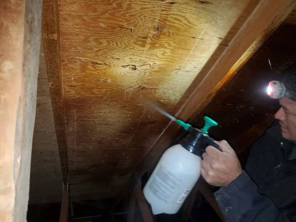 Crawl Space and Drainage Solutions LLC Top Choice by Crawl Space & Drainage Systems LLC - Photo 6