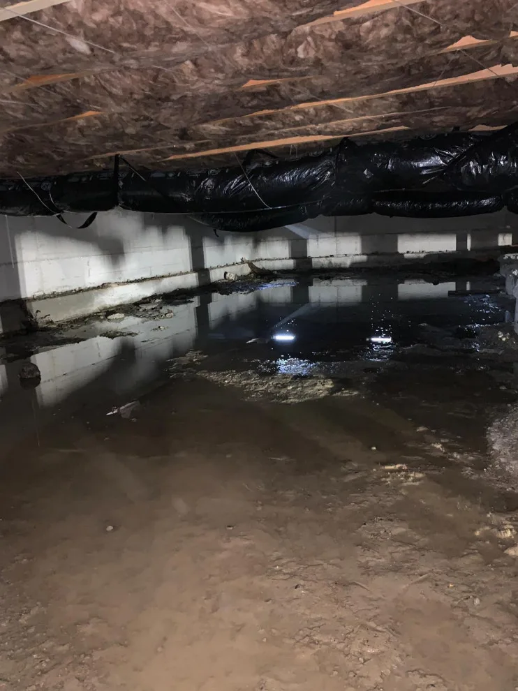 Crawl Space and Drainage Solutions LLC by Crawl Space & Drainage Systems LLC - Photo 16
