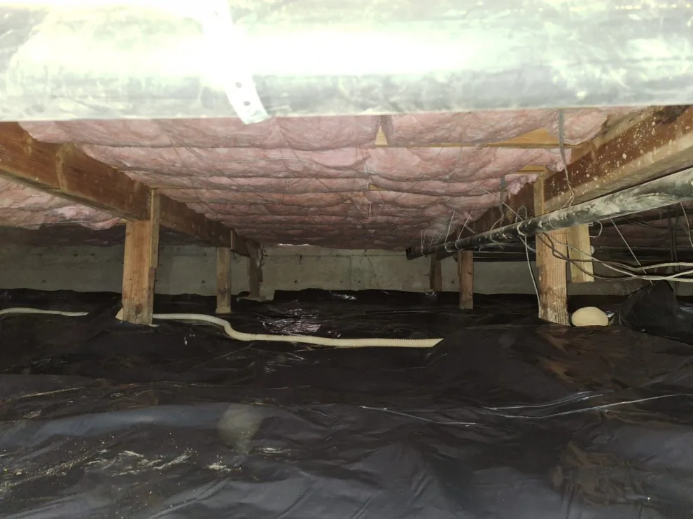 Crawl Space and Drainage Solutions LLC by Crawl Space & Drainage Systems LLC - Photo 51