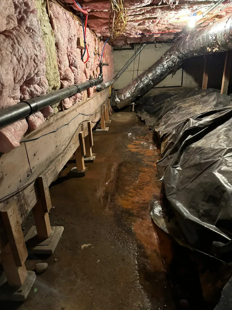 Crawl Space and Drainage Solutions LLC by Crawl Space & Drainage Systems LLC - Photo 30
