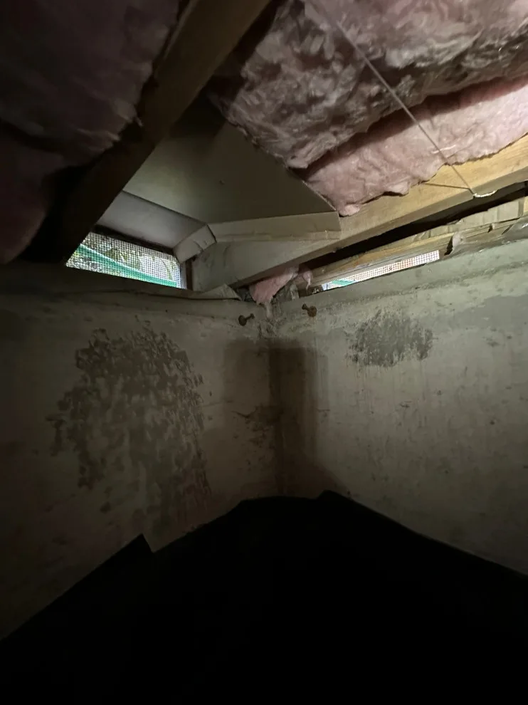 Crawl Space and Drainage Solutions LLC by Crawl Space & Drainage Systems LLC - Photo 43