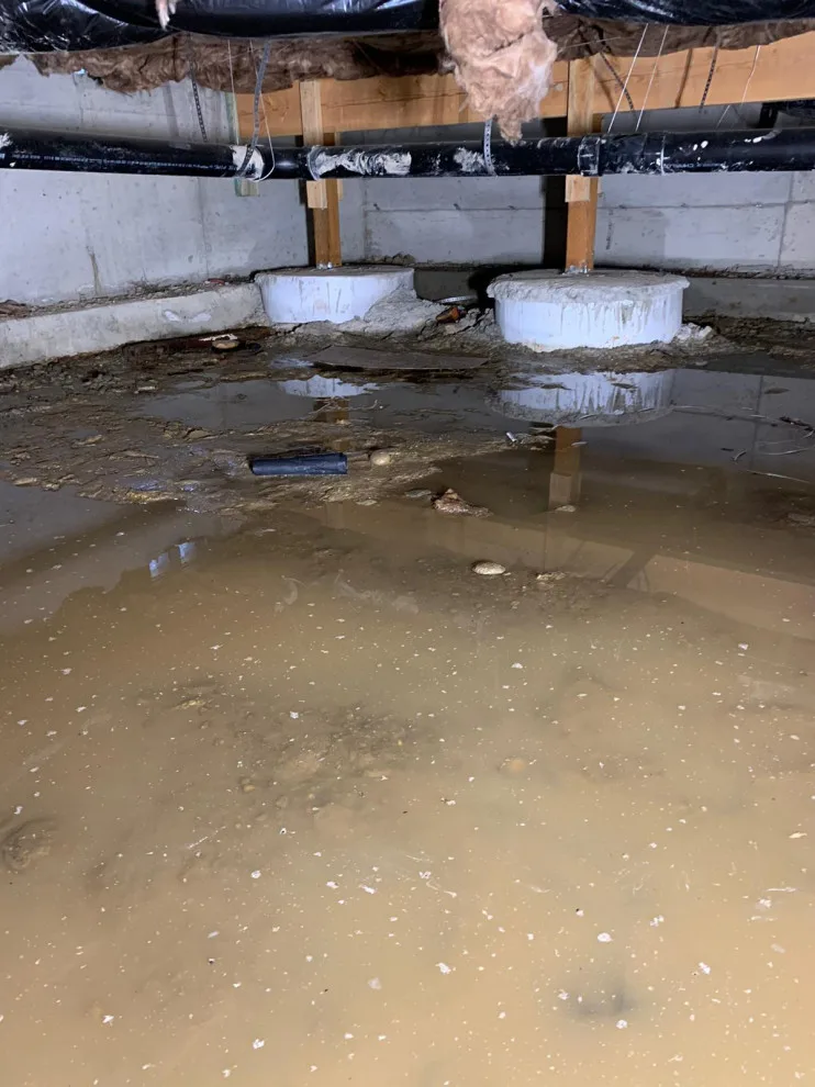 Crawl Space and Drainage Solutions LLC by Crawl Space & Drainage Systems LLC - Photo 10