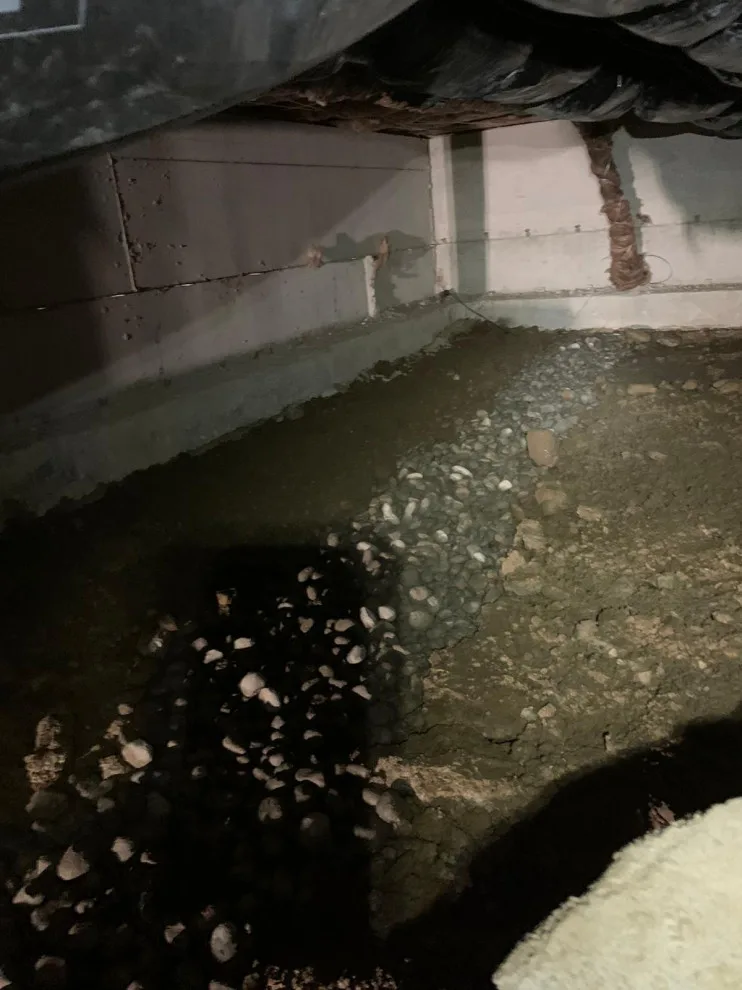 Crawl Space and Drainage Solutions LLC by Crawl Space & Drainage Systems LLC - Photo 15