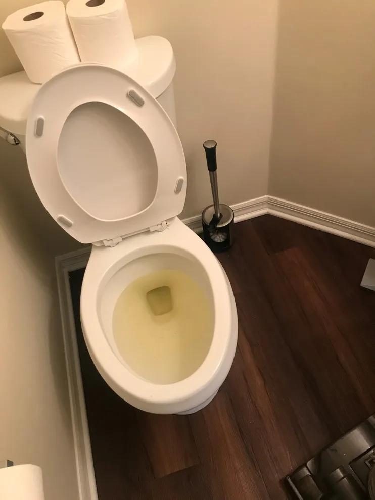 Drain and Sewer Cleaning by Pure Water Plumbing Inc. - Photo 2