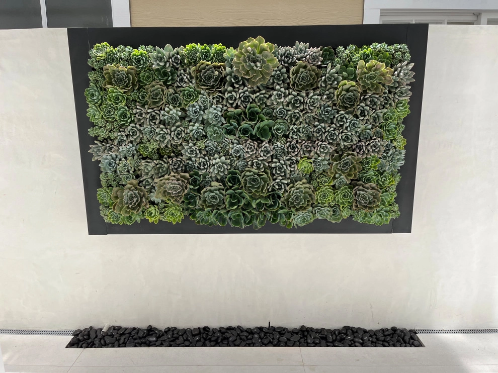 Living Succulent Wall by Camille Beehler Landscape Design - Photo 2
