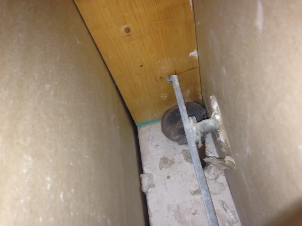 Waukesha Plumbing, LLC - Photo 8