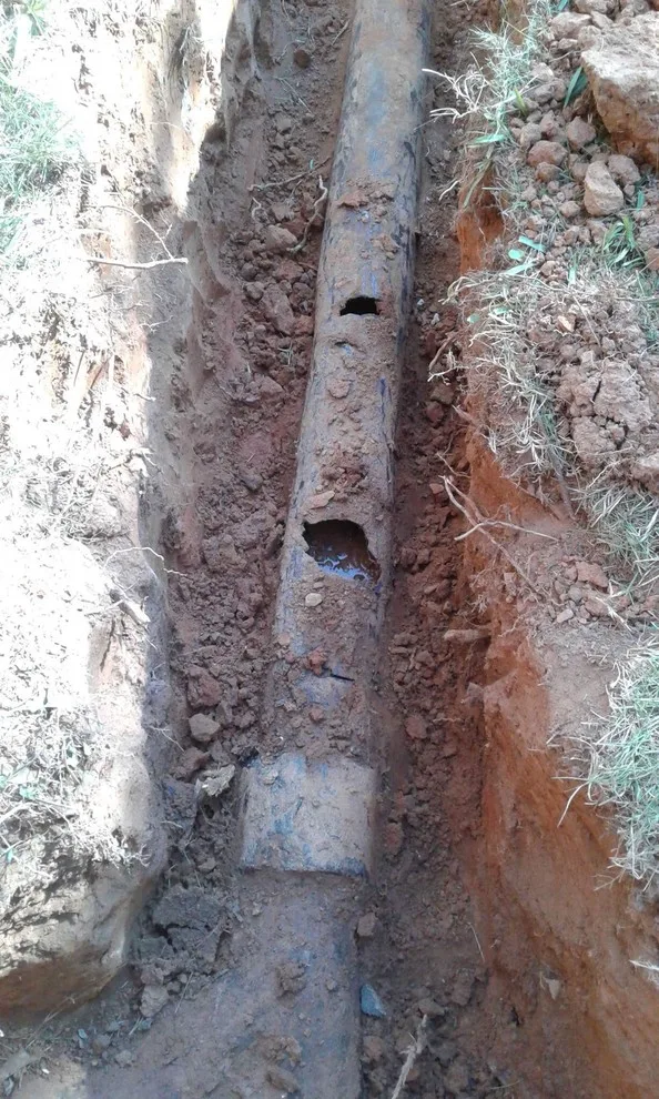 The Clog Dawg Plumbing - Photo 12
