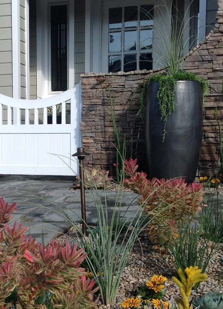 Cape Andover goes Drought Tolerant by Camille Beehler Landscape Design - Photo 4