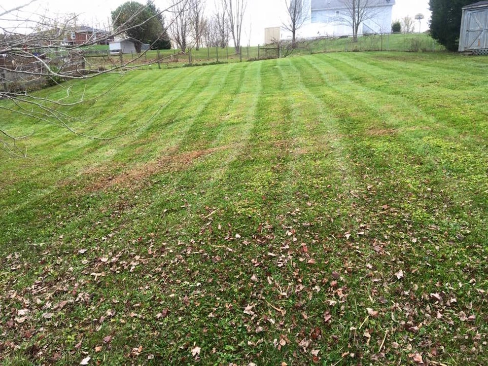 Gorgeous Lawns by Monroe Lawn Care And Outdoor Design, LLC - Photo 3