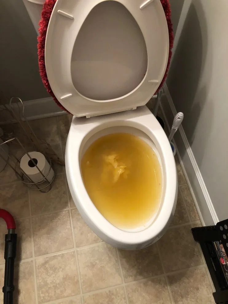 Toilet Snake by Pure Water Plumbing Inc. - Photo 5