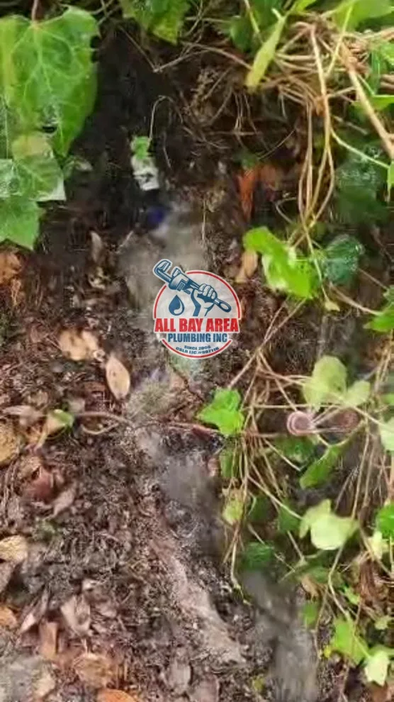 Revitalize Your Environment with Professional Plumbing Solutions by All Bay Area Plumbing Inc - Photo 4