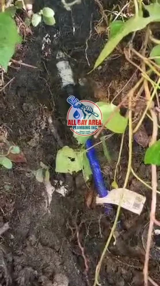 Revitalize Your Environment with Professional Plumbing Solutions by All Bay Area Plumbing Inc - Photo 2